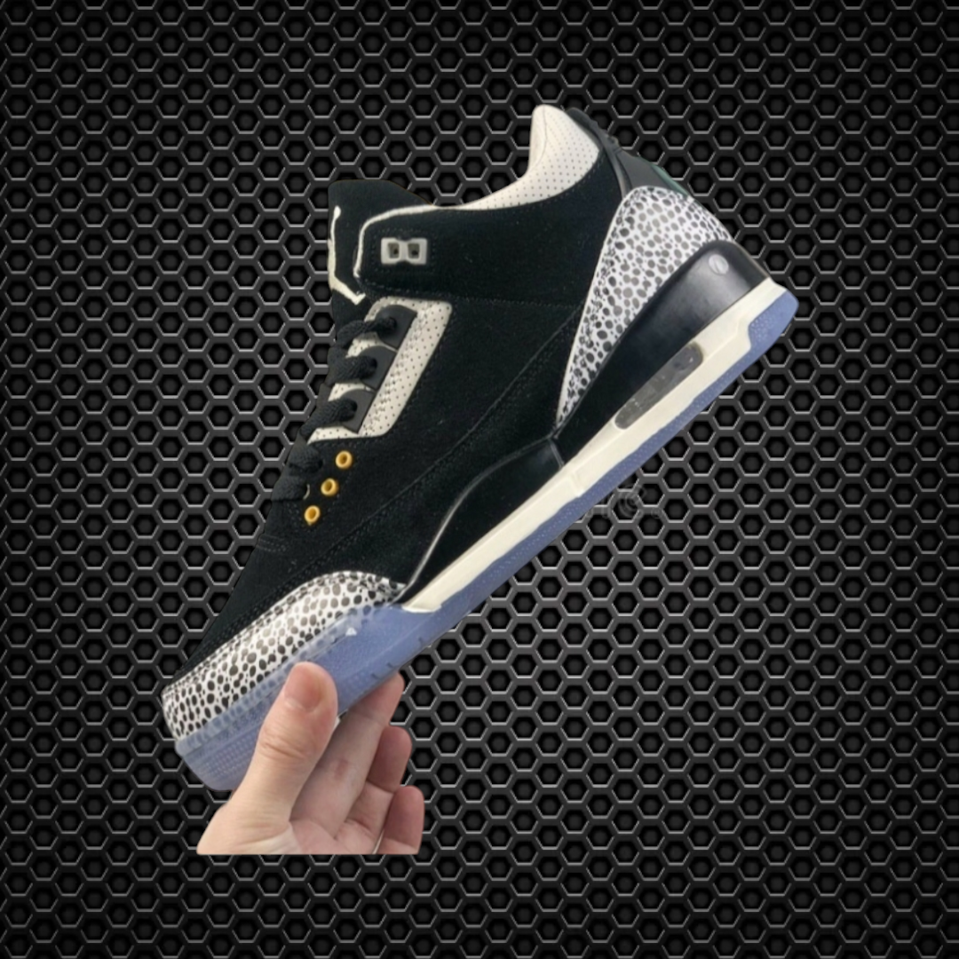 Air Jordan 3 Retro Atmos