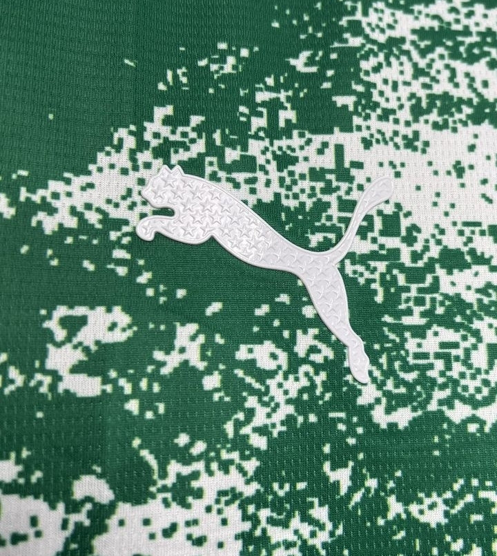 Palmeiras - Camisola 24/25